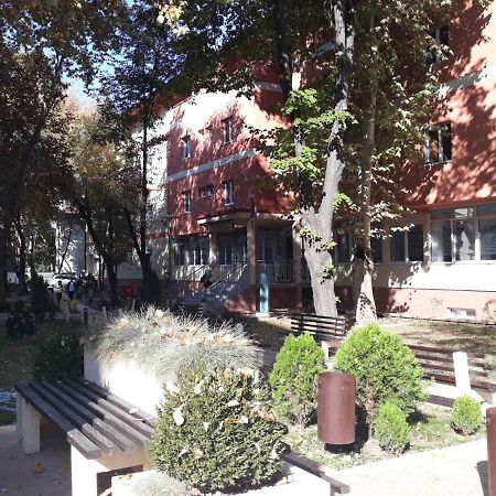 Apartman Karadjordje 2 Belgrad Zewnętrze zdjęcie